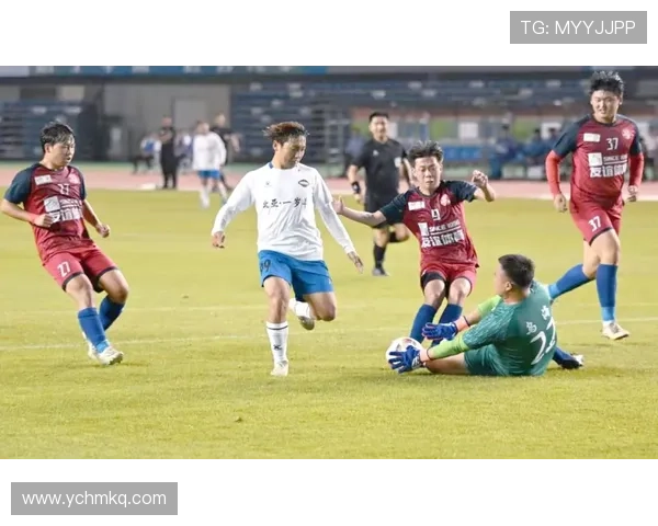 全新赛季激战开启 多项体育赛事精彩纷呈 体育明星迎接挑战创新高