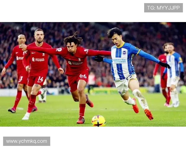 从海鸥军团到英超黑马布莱顿俱乐部崛起与未来蓝图解析全景观察